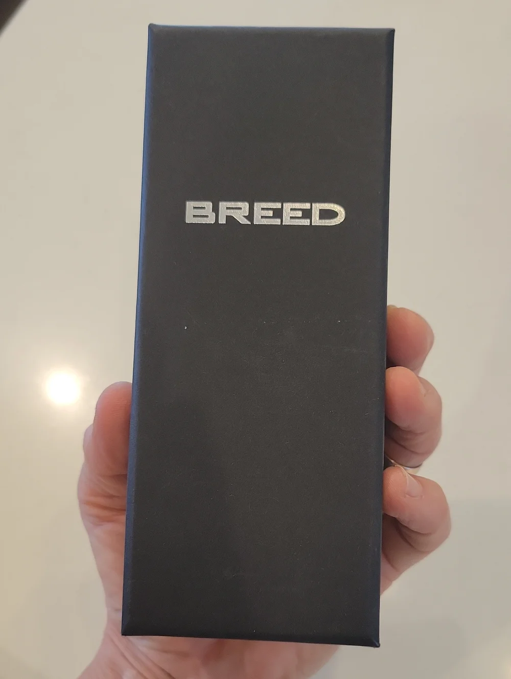 Breed Tempest Mens Watch
